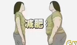 -Fundi张玉珊修身堂·indiba·BTL科技瘦身