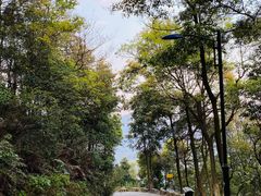 -广州市帽峰山景区