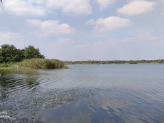 -贡湖湾湿地公园