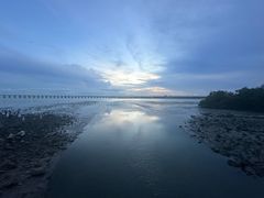 -宝安西湾红树林湿地公园