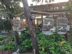 -蘇河湾·新鲁菜·泰山宴(泰山店)