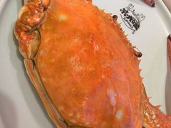 -苏大嘴蒸汽海鲜·海胆蒸饺(中山广场店)