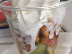 -Salud撒露欧洲冻酸奶(北苑上品店)