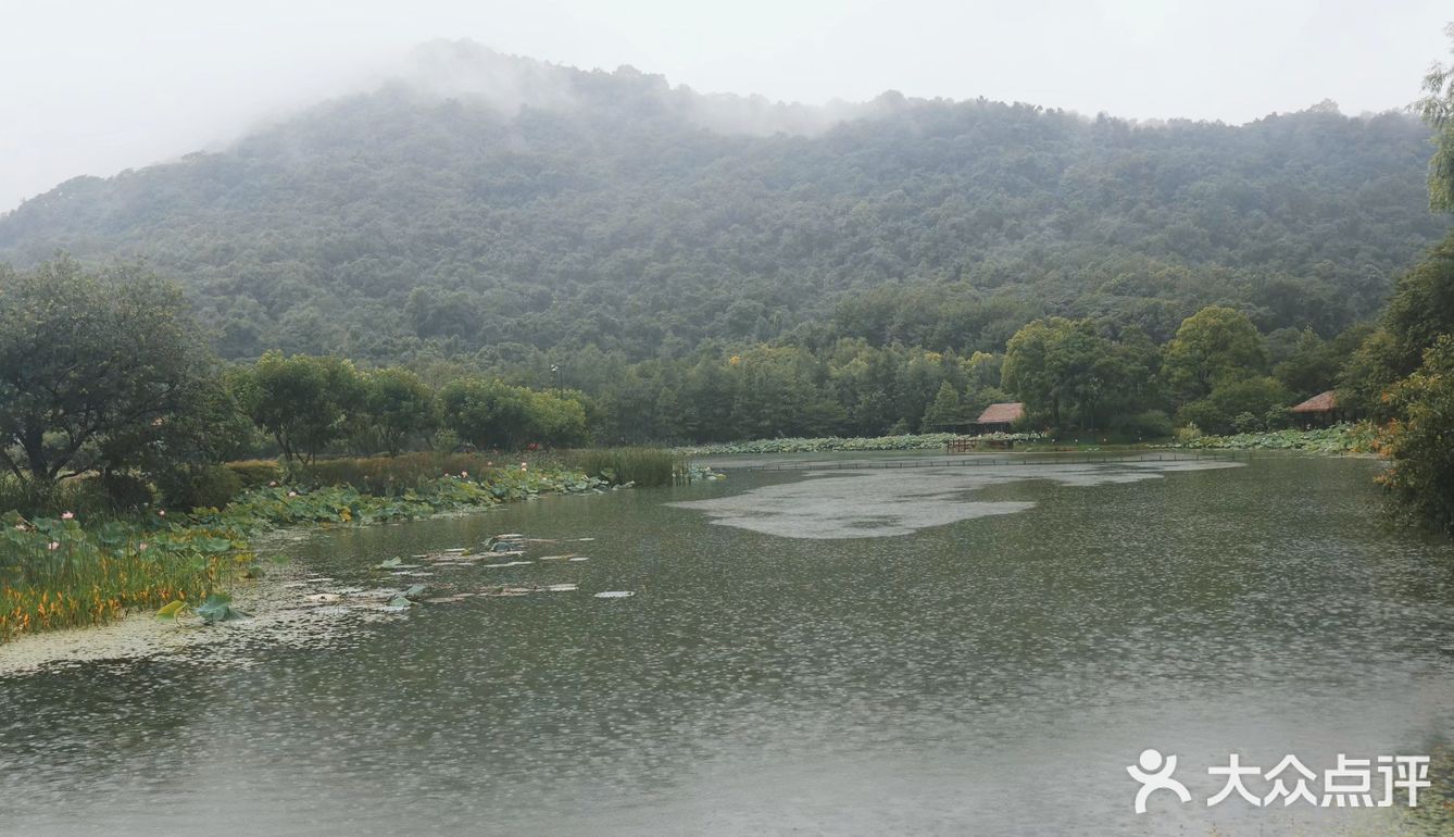 下小雨時候,看著茅草屋,看著木橋,蓮花,小河