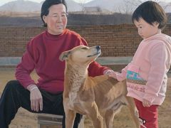 -大芬美术馆
