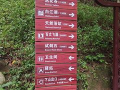 -广州白江湖森林公园