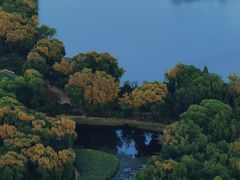 -中央广播电视塔