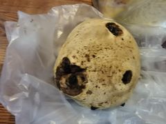 -山崎面包(静安久光店)