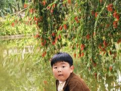 -人民公园(罗湖区)