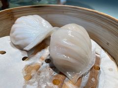 维园虾饺皇-维园悦谱·海派家常菜(乌鲁木齐南路店)