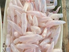 -章记正宗南岗鱼蛋火锅