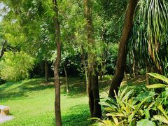 -云溪植物园