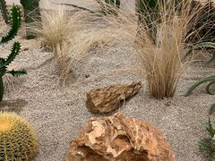 -OUR Bakery(SKP-S店)