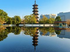 -龙华素斋(龙华路店)