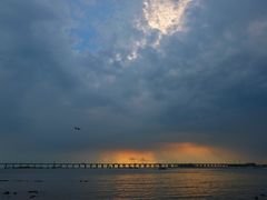 -宝安西湾红树林湿地公园