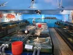 -海九澎湖海鲜餐厅