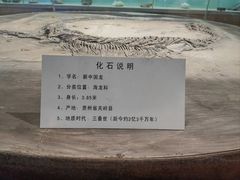 -大同煤炭博物馆