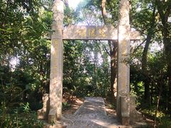 -上海佘山国家森林公园天马山园