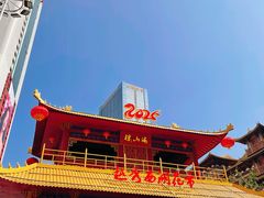 -越秀西湖花市(广州城市广场花卉店)