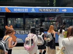 -帕帕拉兹宠物(亚洲旗舰店)