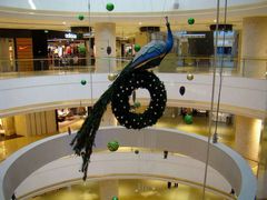 -远洋未来广场(育慧北路店)