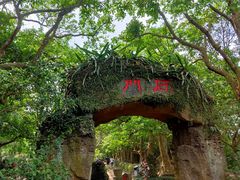 -海口火山口国家地质公园