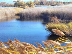 -野鸭湖国家湿地公园