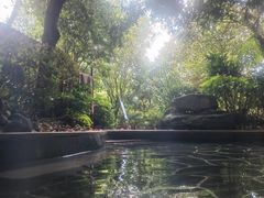 -腾冲洞山温泉村
