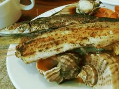 -济南喜来登酒店