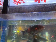 -老街烧烤大排档·地道湖北菜·龙虾馆(汉口火车站店)