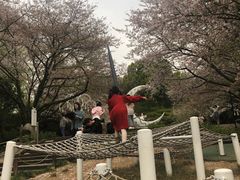 -杭州少年儿童公园