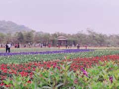 -丹樱生态园
