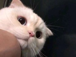 -单色舞蹈