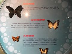 -萌宠奇缘