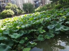 -耀江文鼎苑