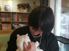 -MOYOYO猫咪咖啡店