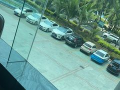 -同禧荟·港味海鲜火锅·粤菜(三亚湾店)