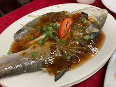 酸梅蒸马友-蛇口康乐快餐鱼仔档(翠苑小区店)
