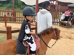 -杭州开元森泊度假乐园