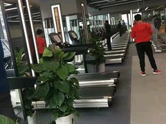 -金吉鸟健身游泳