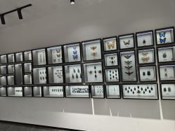 -酷嗒动物文化乐园(cutezoo西溪乐天城店)