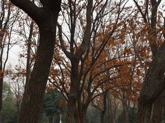 -合肥野生动物园