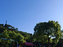 -金鸡山公园