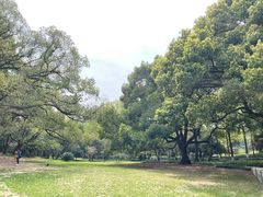 -杭州植物园