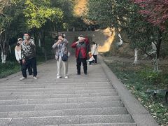 -峙山公园