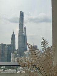 点击看大图 -智美品质医美