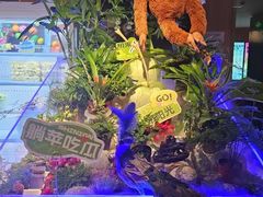 -涨巢·潮玩水疗局