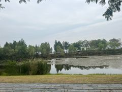 -东湖落雁景区