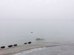 -东湖落雁景区
