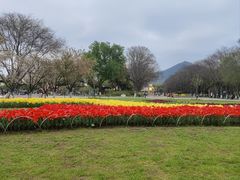 -玄武湖景区-情侣园游乐场